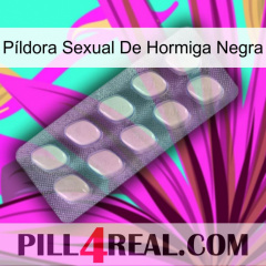 Píldora Sexual De Hormiga Negra 08